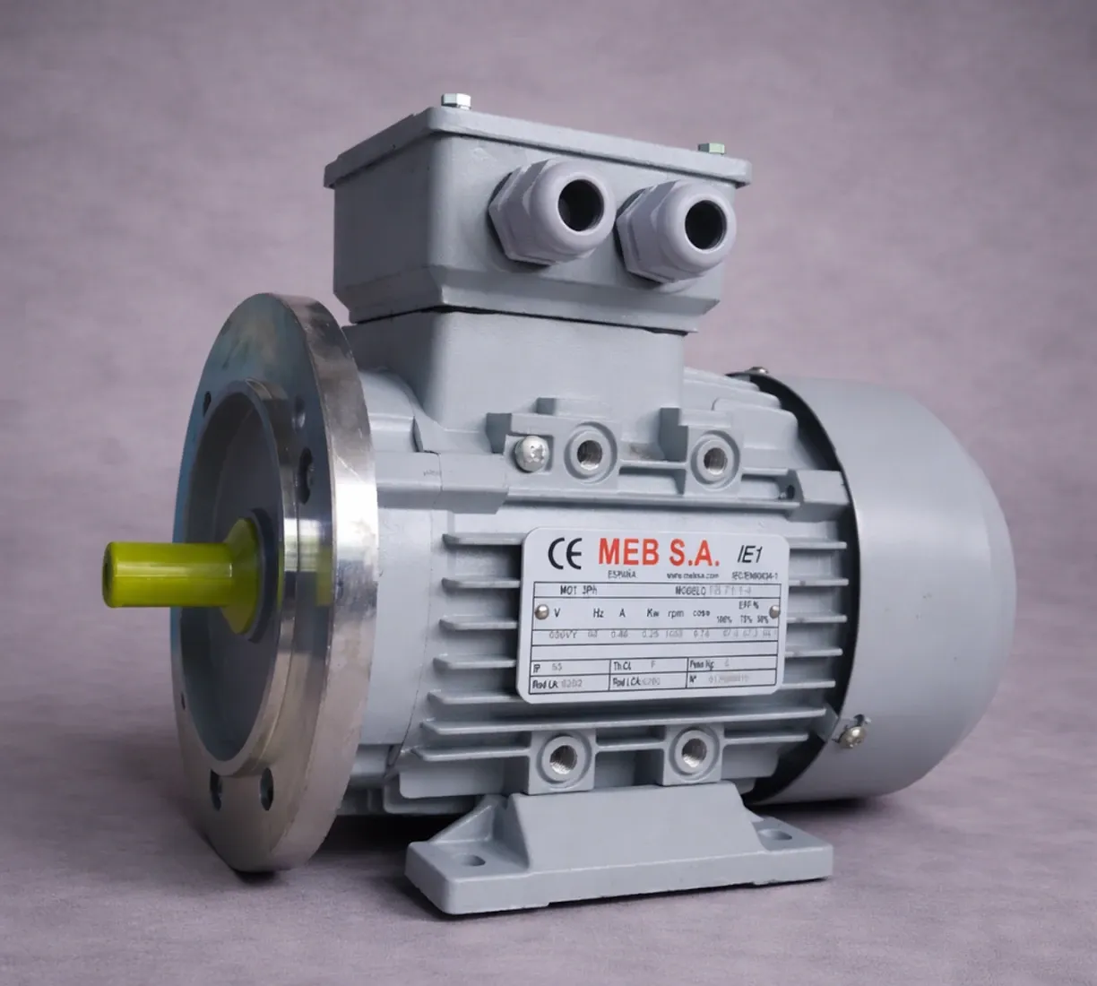 Motor eléctrico trifásico MEB S.A.