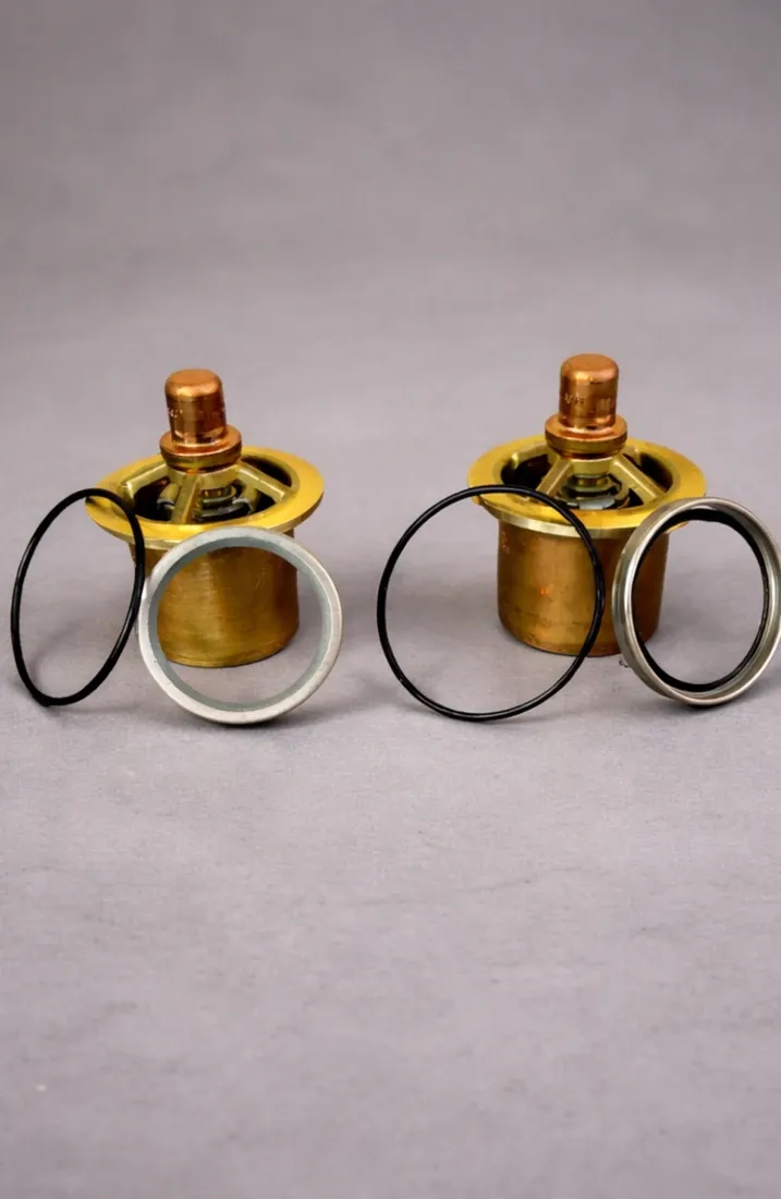 Componentes del kit de servicio de válvula con ajuste a 150 grados Fahrenheit